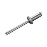 Popnagels rvs/rvs 4.0x10mm (200 stuks).